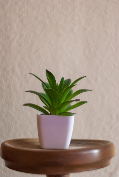 绿色装饰人工植物在白色花盆与白色背景的垂直木架子与区域复制空间图片下载