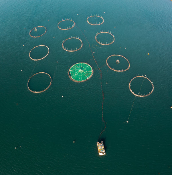 从上到下的水产养殖场的笼子和网在深蓝色的水图片下载