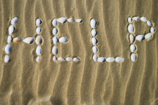 “帮助”这个字是用沙滩上的白色贝壳做成的。图片下载