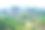 滥砍滥伐的环境问题，热带雨林被毁用于油棕种植园。山林林间的树木砍伐了一片森林。图片下载