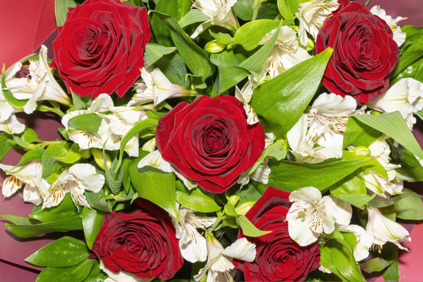 一束红玫瑰和白花的特写图片下载