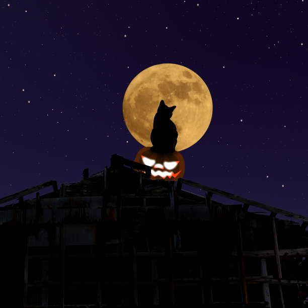 草莓超级月亮升起在屋顶上的猫和万圣节南瓜老仓库图片下载