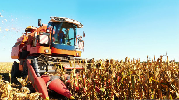 工人坐在红色联合收割机的驾驶室里，控制收割玉米。秋天。玉米收获。农业图片下载