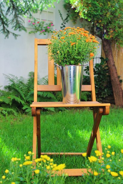 花盆里的花放在椅子上图片下载