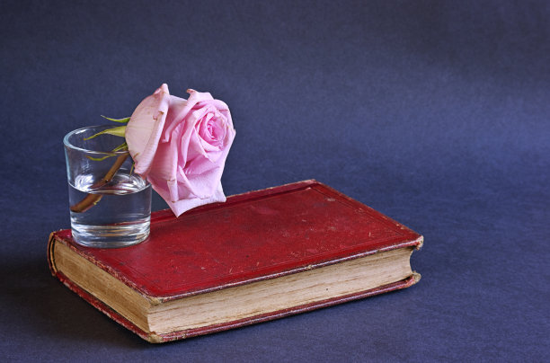 凋谢的玫瑰花配上老红的书。观念摄影。图片下载