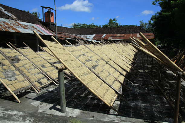 在传统生产的干燥面条图片下载