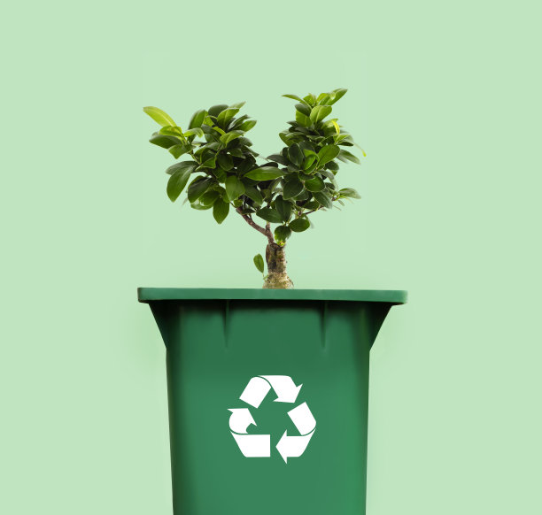 树出自回收站，回收拯救自然的理念图片下载