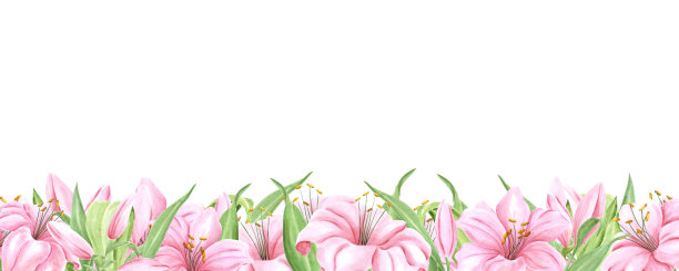 手绘百合花横幅。水彩粉色百合在白色的背景。剪贴簿设计，排版海报，标签，横幅。图片下载