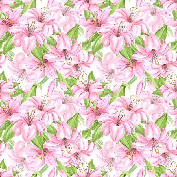 手绘百合花无缝图案。水彩粉色百合在白色的背景。剪贴簿设计，排版海报，标签，横幅，纺织品。图片下载