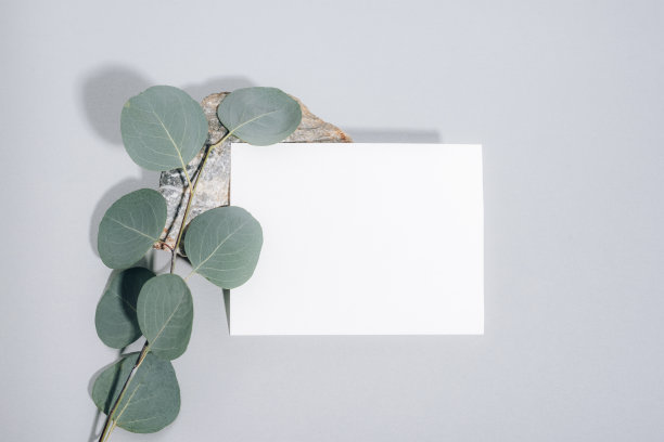 白色空白表上的天然石头和桉树树叶在灰色背景。俯视图，平铺，模拟图片下载