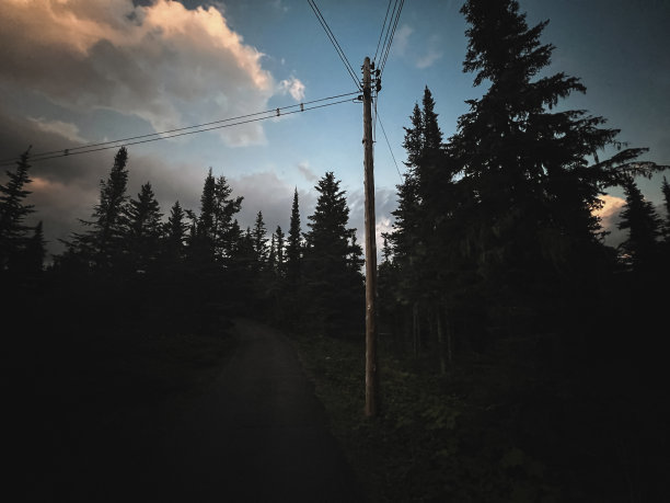 夜晚，皇家岛国家公园的常青树、电线和小道的恐怖景象图片下载