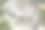 艾盖古城遗址，这座城市是安纳托利亚西部12个艾奥尔城市之一。图片下载