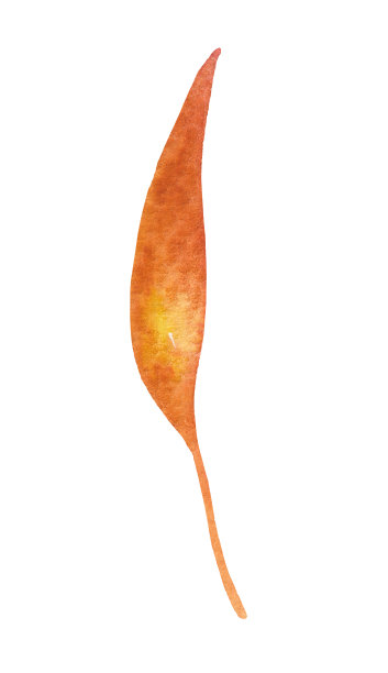 手绘干，秋叶落图片下载