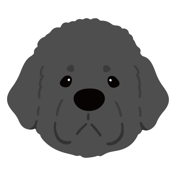 简单可爱的纽芬兰犬插画前脸平坦的颜色图片下载