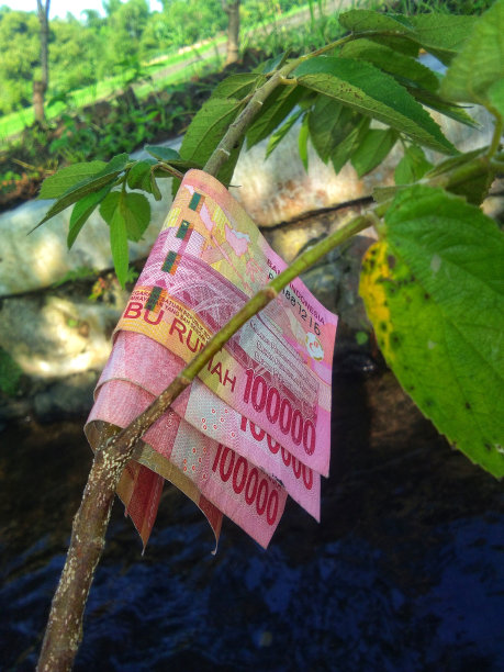 纸币法定货币，适用于一切业务图片下载