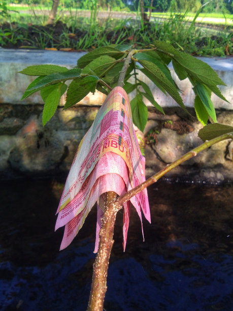 纸币法定货币，适用于一切业务图片下载