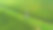 桉树种植园之间的高压塔和电线的鸟瞰图。泰国桉树林俯视图。自然景观背景。图片下载