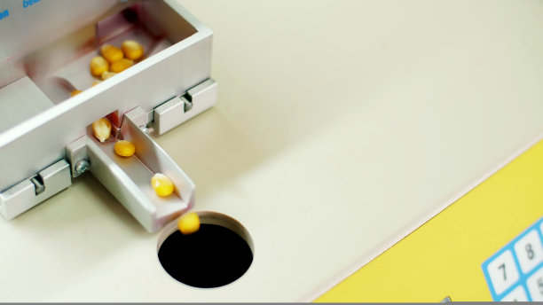 玉米种子的实验室研究。样品选用不同品种、品种的玉米。田间谷物分析诊断实验室。玉米的种植图片下载