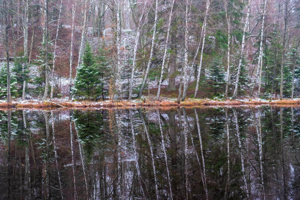 森林的边缘有一个湖，雪和水的倒影图片下载