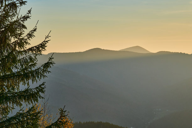 山景晚景，有文字空间，日落时有大云杉图片下载