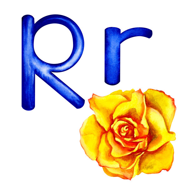 字母R是大写和小写的，上面有玫瑰的图案。水彩画，为字母图片下载