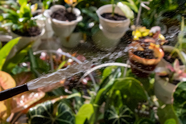 水珠从软管中流出图片下载