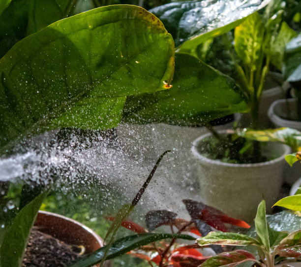 水珠从软管中流出图片下载