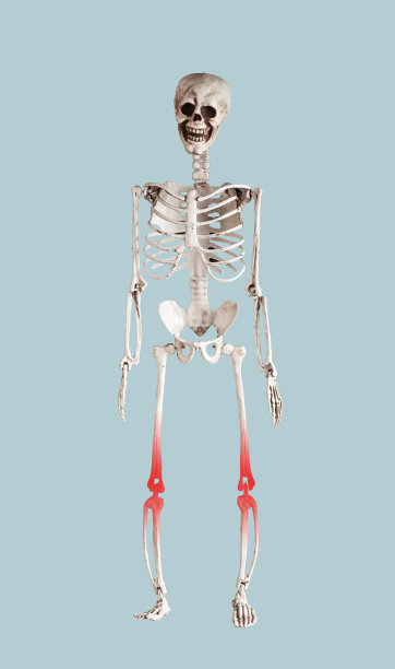 骨骼有膝盖痛，骨病呈蓝色图片下载