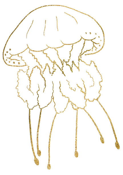 金色勾勒海蜇，孤立元素为航海海上婚礼插画图片下载