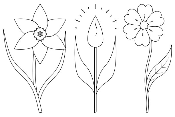 水仙花，郁金香，矢车菊，一套可爱的花素描与树叶涂鸦风格图片下载
