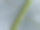 种植蔬菜的温室从上面鸟瞰图片下载
