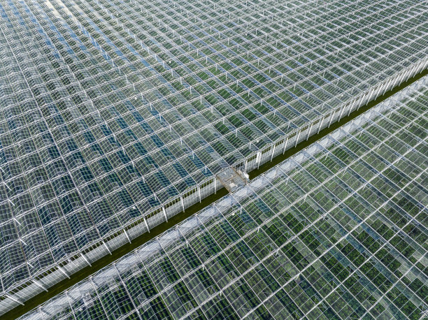 种植蔬菜的温室从上面鸟瞰图片下载