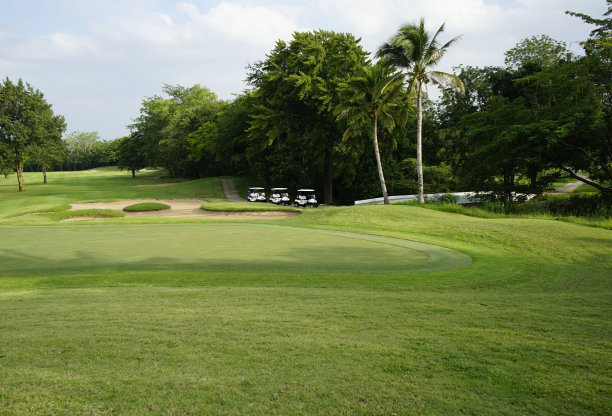晴天里美丽的高尔夫球场。图片下载