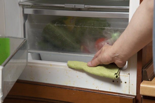 清洗和清洁冰箱。图片下载