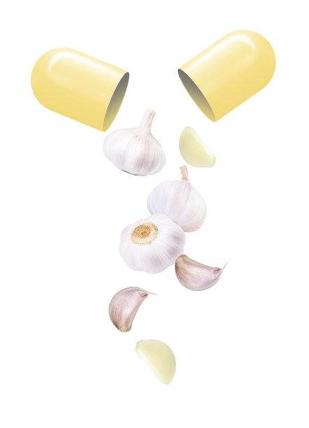 大蒜中药胶囊丸图片下载