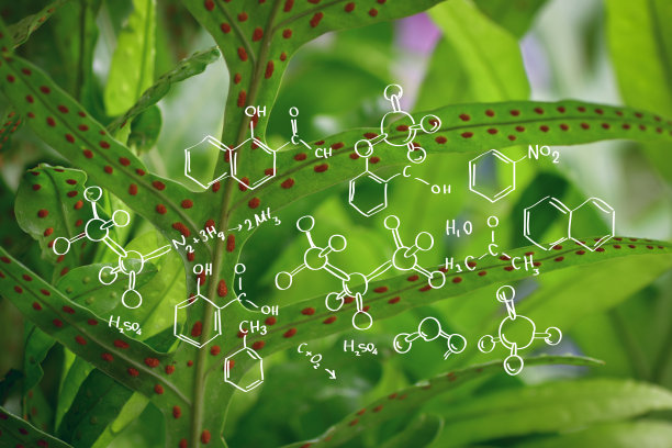 具有生物化学结构的植物背景科学概念设计图片下载