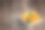 一碗西兰花和胡萝卜沙拉。图片下载