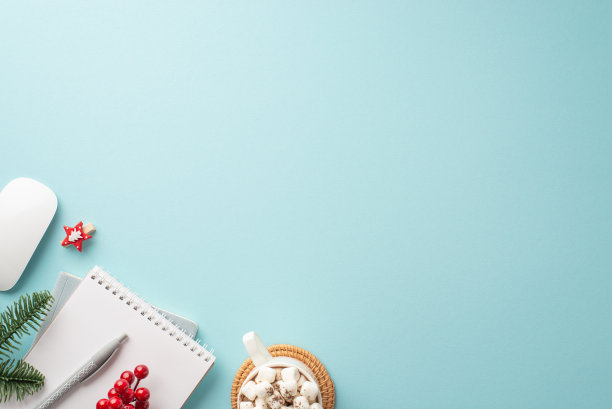 新年的概念。顶视图照片的工作场所电脑鼠标杯可可与棉花糖在餐具垫规划师槲寄生装饰夹杉树枝孤立的柔和蓝色背景与copyspace图片下载