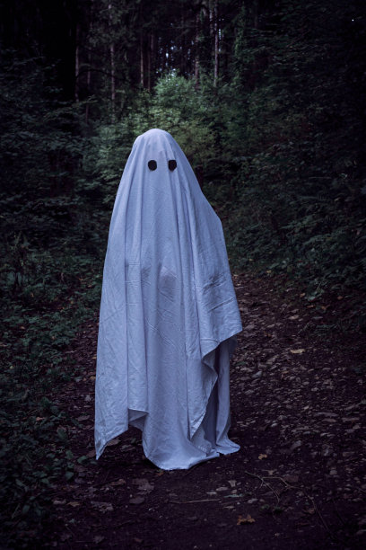 一个裹着白床单的小孩在万圣节装扮成鬼图片下载