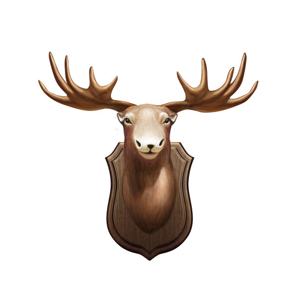鹿头图片下载