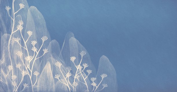 抽象白花画。叶子和花瓣。浪漫的艺术作品。图片下载