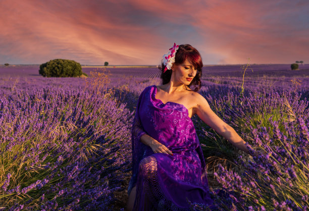 时尚的女人向下看时，在薰衣草花田在日落。图片下载