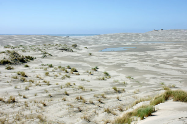 野生偏远沙丘景观图片下载