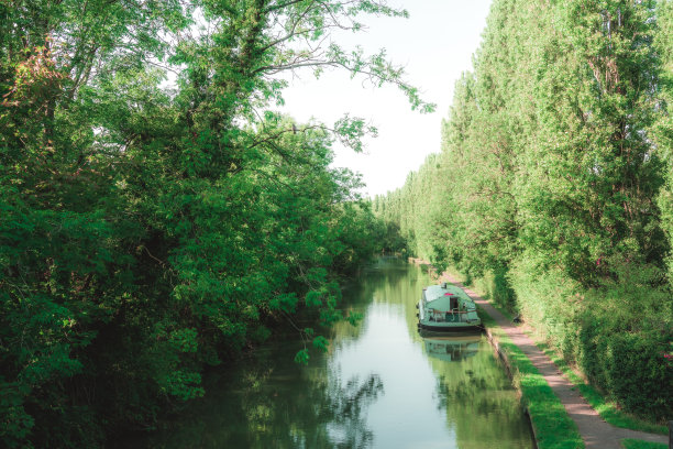 美丽的风景，绿树傍江，蓝天下，暖洋洋的图片下载