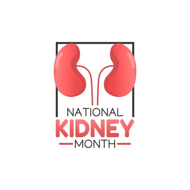 全国肾月矢量设计。适合制作贺卡，海报和横幅图片下载