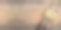 秋季女装。一套鞋和包，女性配件在木制背景。时尚时尚的手提包手包，迷人的鞋子图片下载