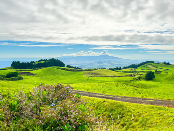 亚速尔群岛美丽的草地和牧场图片下载