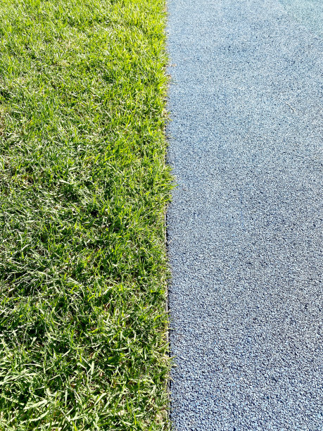 绿色的草地和橡胶地面镶边图片下载