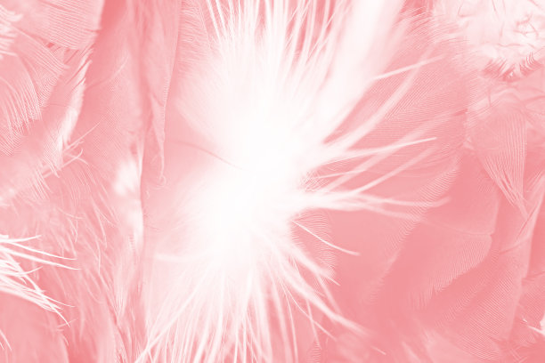 珊瑚粉复古色趋势羽毛纹理背景图片下载