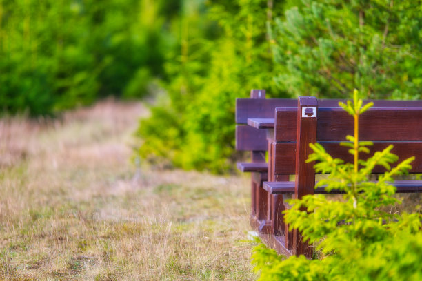 图林根森林的秋天心情图片下载